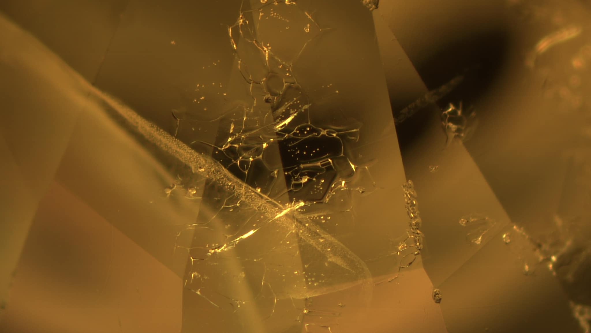 Showing results for recrystallization during cooling.